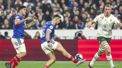 France - Afrique du Sud : revivez la démonstration des Boks face aux Bleus