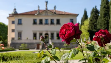 Francilien de plus de 50 ans, cadre, footballeur, marié... Radioscopie d’un «riche» en France
