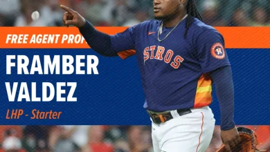 Free Agent Profile: Framber Valdez, SP