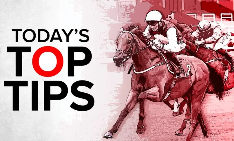 Free horse racing tips for Doncaster, Newbury and Newcastle on Saturday, November 29
