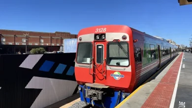 Free public transport in Adelaide for hundreds of thousands of people