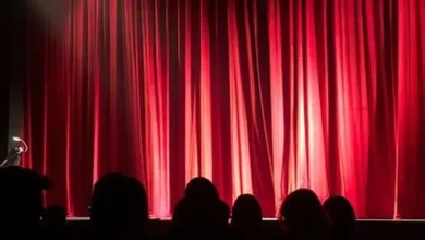 From Bolsonaro’s Accusation To DiCaprio’s Support In Amazon