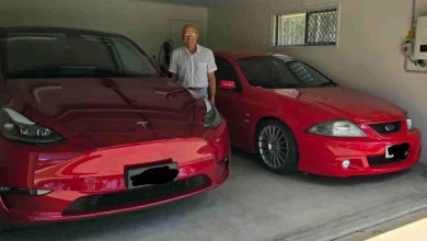 From Petrol Performance to Tesla Model Y Performance