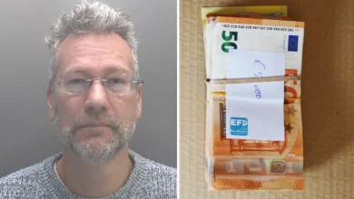 From 'Xmas gifts' to piles of cash: How ex-Reform MEP was caught doing Russia's bidding