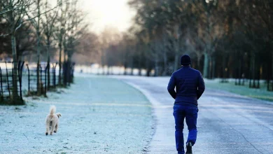 Frost, ice, and maybe some snow: Cold snap to bring freezing temperatures this week