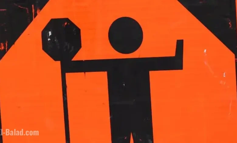 Frustration Grows Over Traffic Delays on Peggys Cove Road