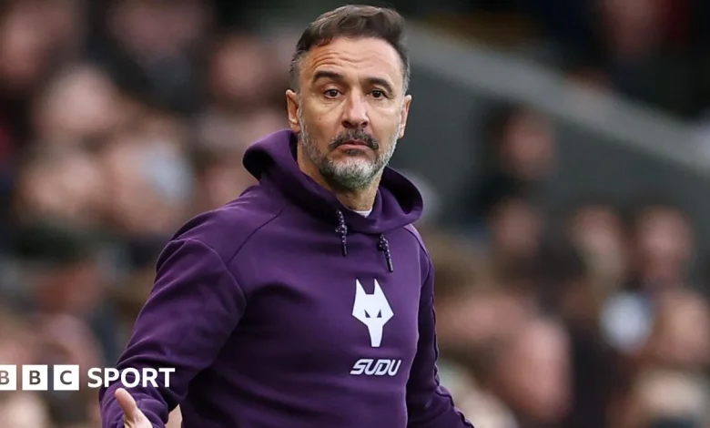 Fulham vs Wolverhampton Wanderers: Premier League preview, team news, stats & head-to-head