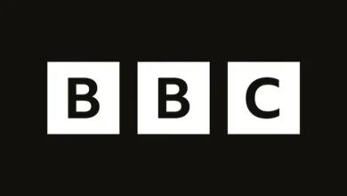 Future of BBC drama with all-star cast revealed by bosses after proving a surprise hit with viewers