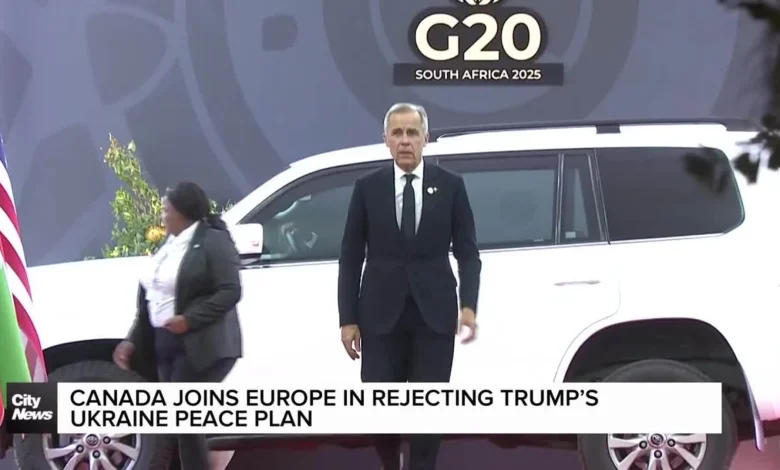 G20 summit adopts declaration despite U.S. boycott