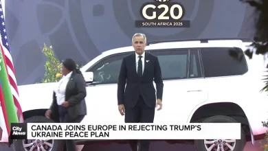 G20 summit adopts declaration despite U.S. boycott