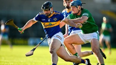 GAA club championships: Provincial final places in both codes on the line across the country