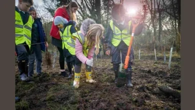 GREENER FUTURE: Veolia offers free fruit trees to schools and community groups in Watford