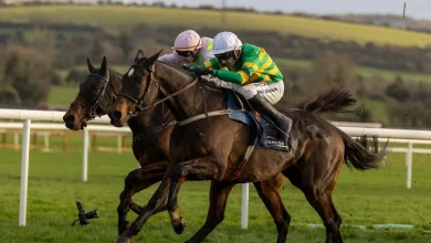 Gaelic Warrior and Fact To File rematch? Punchestown stars feature among King George entries