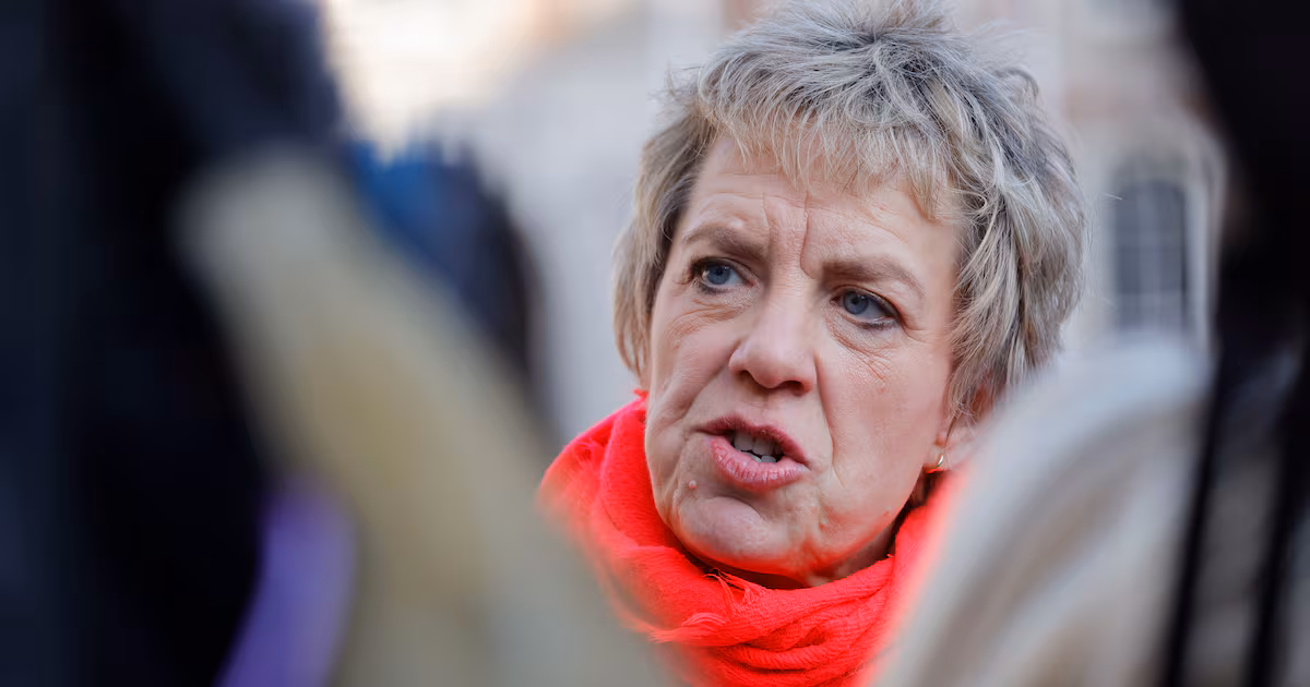 Galway West byelection should be next ‘united left’ collaboration, says Labour’s Bacik