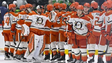 Game #14: Ducks vs. Golden Knights Gameday Preview (11/08/25)