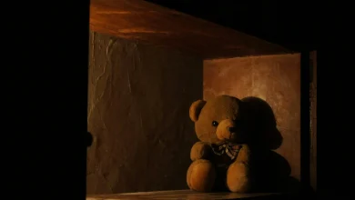 Game 18 Hub: Ottawa Senators vs Boston Bruins