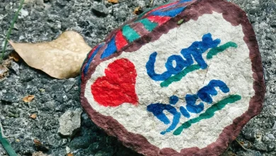 Game 20 Hub: Ottawa Senators vs. Anaheim Ducks