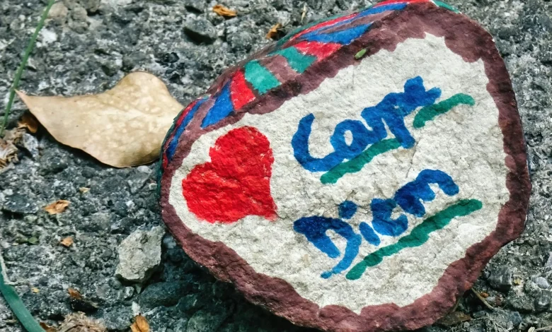 Game 20 Hub: Ottawa Senators vs. Anaheim Ducks