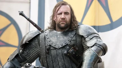 Game of Thrones star Rory McCann was cast as a major Andor season 1 character, then replaced with face scanning due to an injury