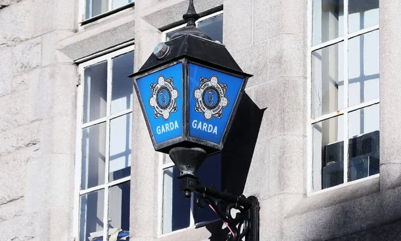 Gardaí investigating after dog killed in suspected firework attack