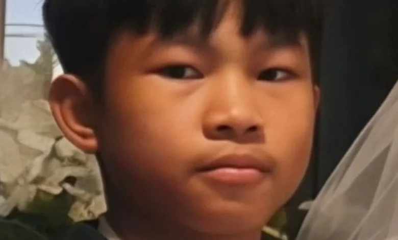 Gardai issue urgent appeal to help find 13-year-old boy missing in Co Wicklow