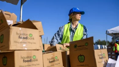 Gene Collier: Unqualified even for SNAP judgments