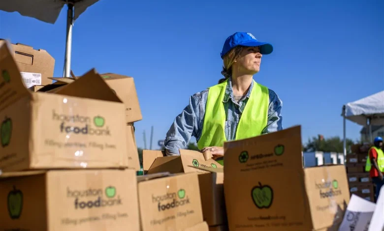 Gene Collier: Unqualified even for SNAP judgments