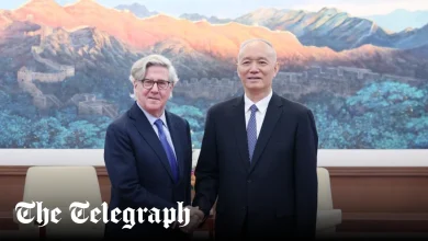 Genocide campaigners raise alarm over Telegraph bidder’s Chinese links