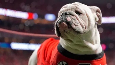 Georgia Sports Betting: Legalization efforts, updates and outlook