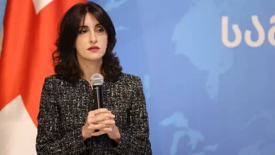Georgian FM: Euronest cannot dictate to Tbilisi which direction to take