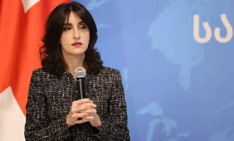 Georgian FM: Euronest cannot dictate to Tbilisi which direction to take