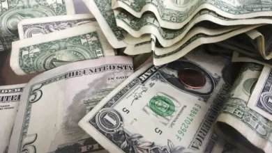 Georgians support lowering income tax