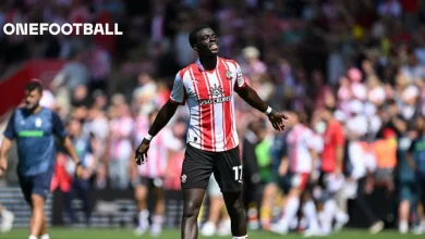 Germany U21 players Joshua Quarshie and Arijon Ibrahimovic look forward to ‘homecoming match’ in Fürth