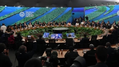 Germany seeks to avoid becoming next UN climate host by accident