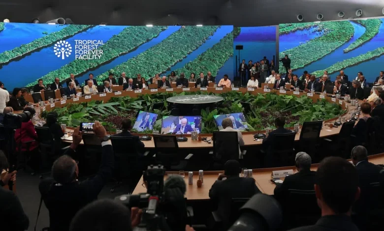 Germany seeks to avoid becoming next UN climate host by accident