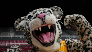 Get To Know A Marquette Men’s Basketball Opponent: Southern