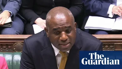 'Get a grip, man': deputy PM clashes with Tories over mistaken release of asylum seeker – video