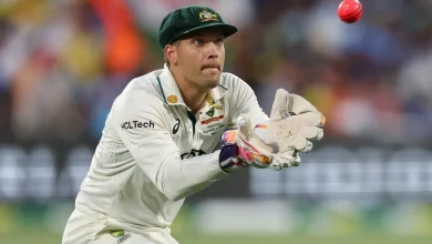 'Get under his skin': Carey responds as Barmy Army director reveals plan to get under Aussie keeper's skin