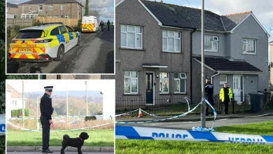 Girl, 17, killed & mum, 38, in hospital after horrific attack at family home