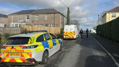 Girl, 17, stabbed to death and mother injured in horror attack