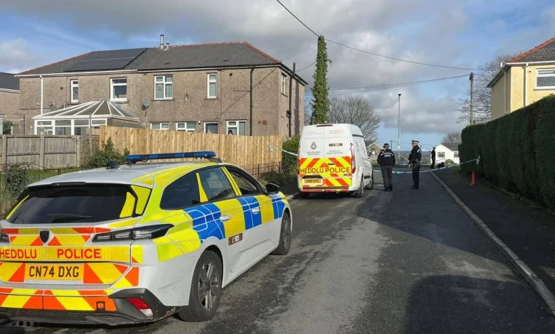 Girl, 17, stabbed to death and mother injured in horror attack