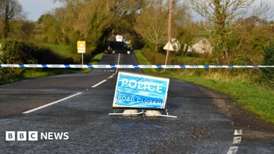 Glenavy: Man and woman dead after crash