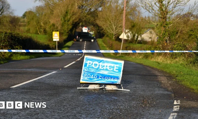 Glenavy: Man and woman dead after crash