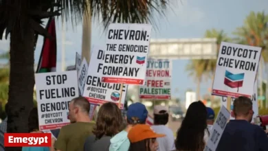 Global Action Targets Chevron for Israel Apartheid and Climate Impact on Nov 22