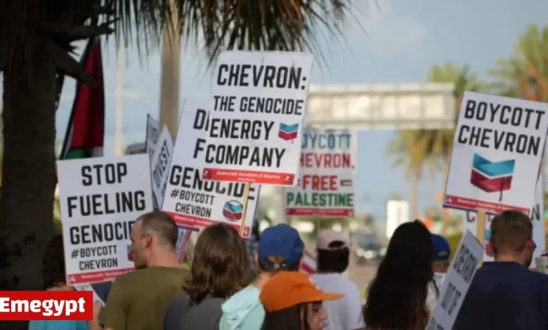 Global Action Targets Chevron for Israel Apartheid and Climate Impact on Nov 22