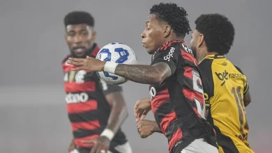 Gol perdido em Flamengo x Sport revolta torcedores: 'Está de brincadeira'
