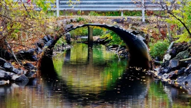 Good morning, North Bay! Here's today's weather!