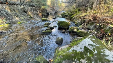 Good morning, North Bay! Here's today's weather!