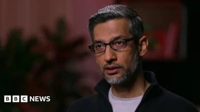 Google boss Sundar Pichai warns 'no company immune' if AI bubble bursts