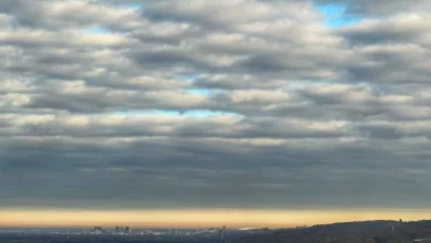 Got plans for the weekend? How about travel before Thanksgiving? Specifics here!